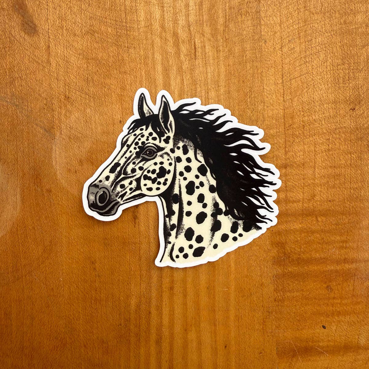 Appaloosa Horse  Sticker
