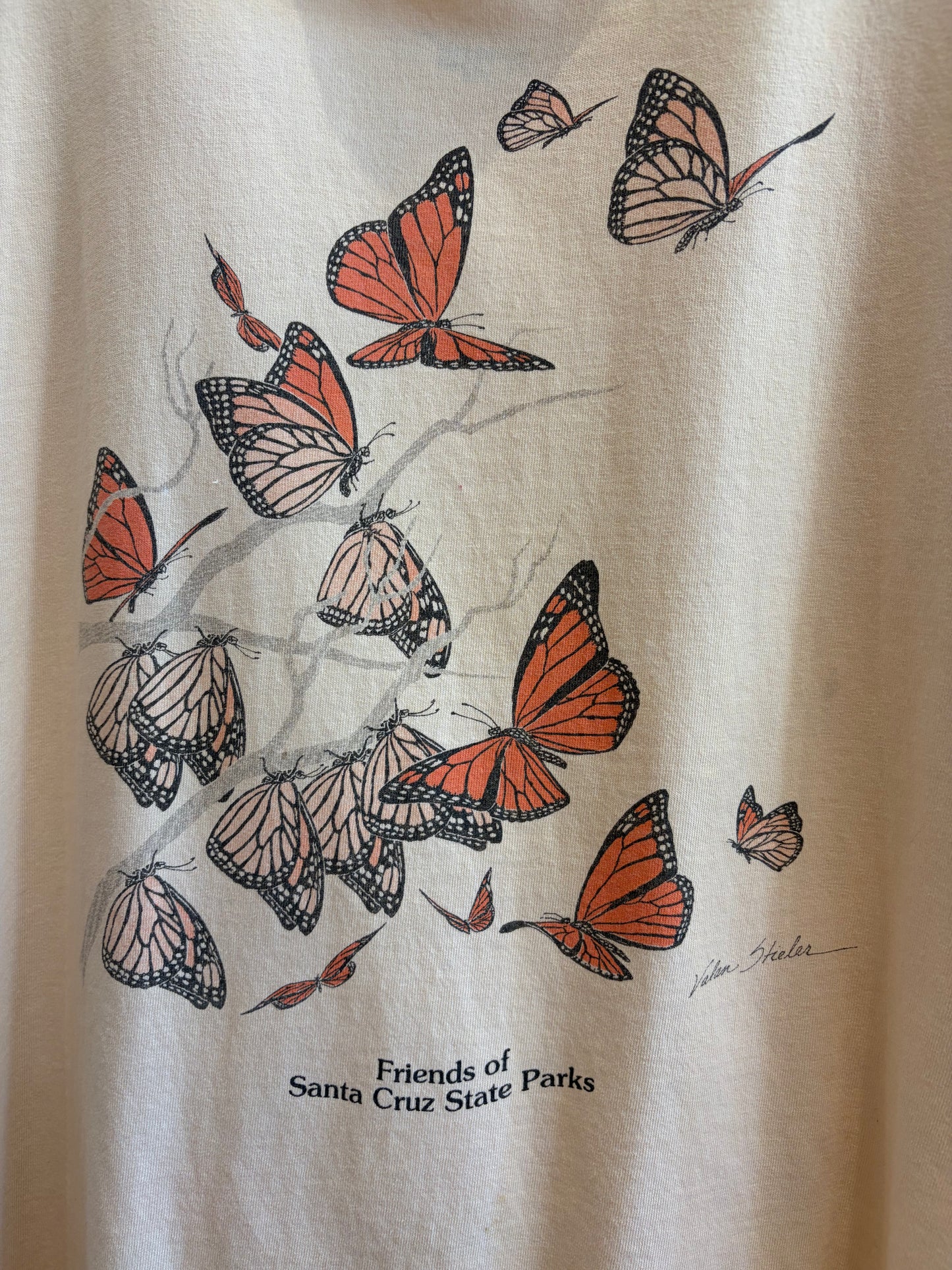 Monarch Butterfly Graphic