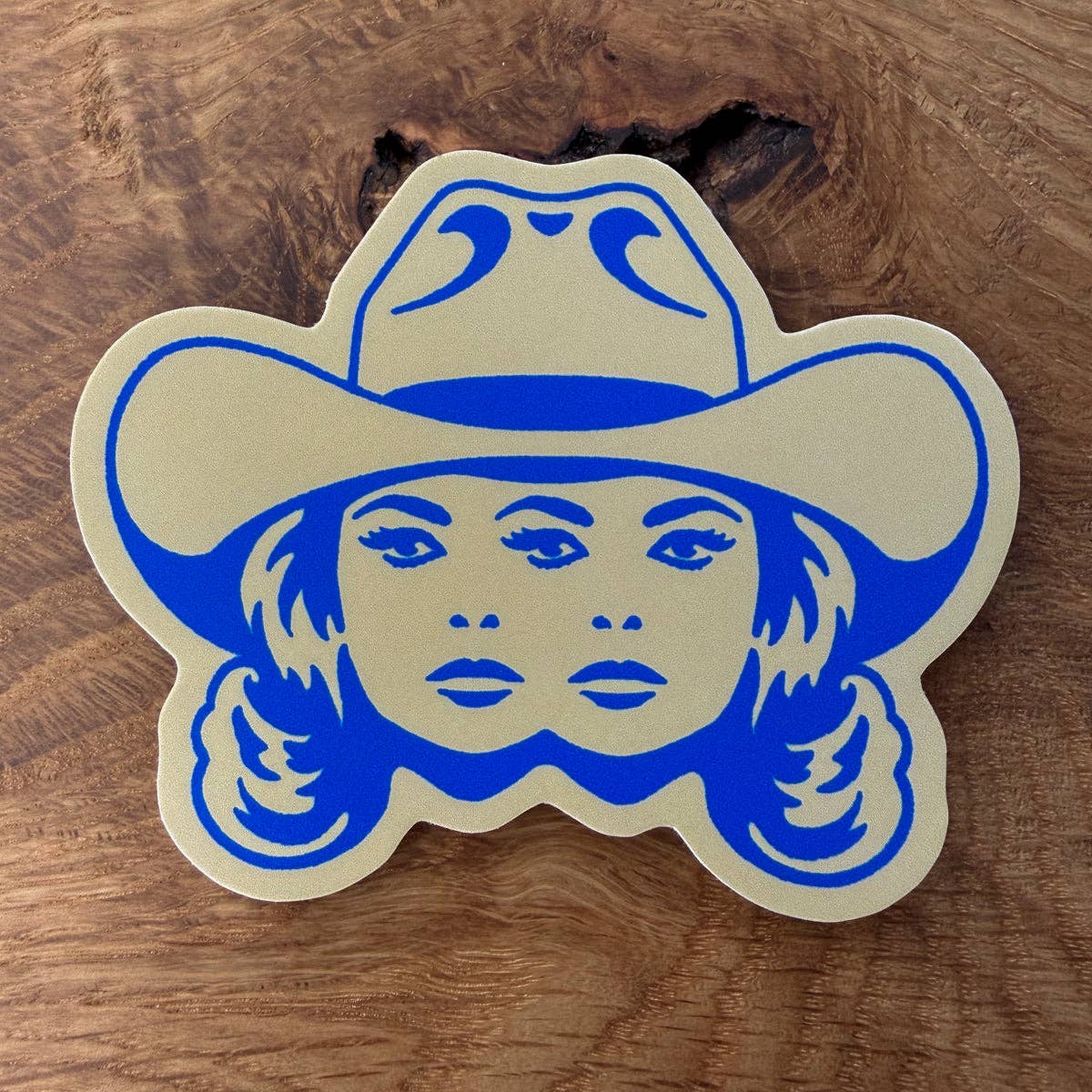 Double Vision Sticker